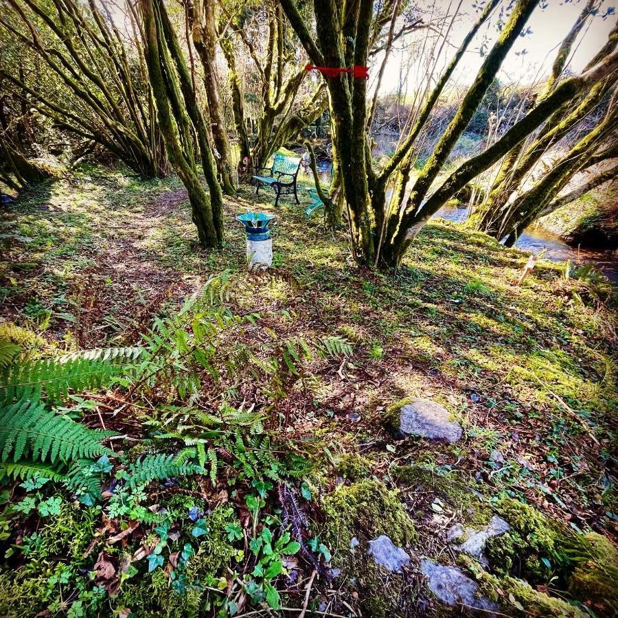 Stepping Stones Glamping Little Red Hotel Bantry Exterior foto