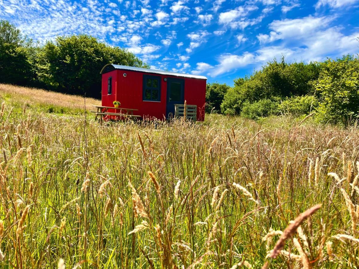 Stepping Stones Glamping Little Red Hotel Bantry Exterior foto